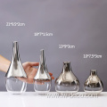 Home Decoration Gift glass Vase